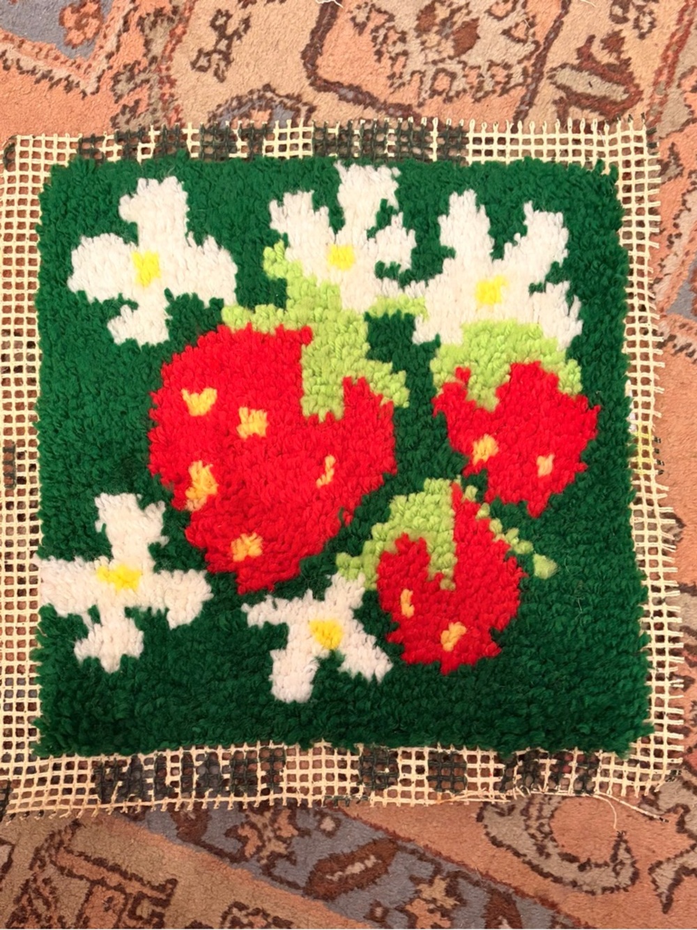 Vintage 60’s/70’s Handmade Latch Hook Strawberry Floral small square art